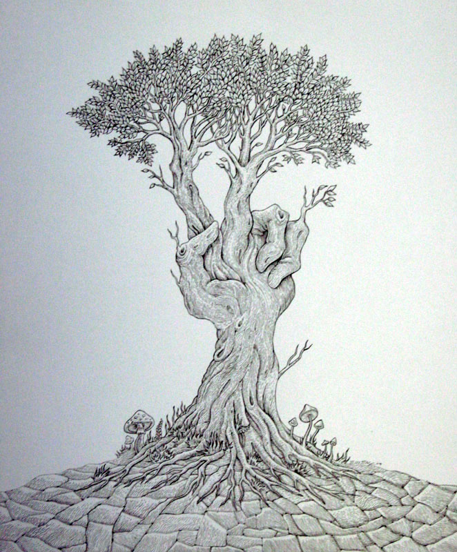 tree drawing pictures. Peace Tree - Drawing